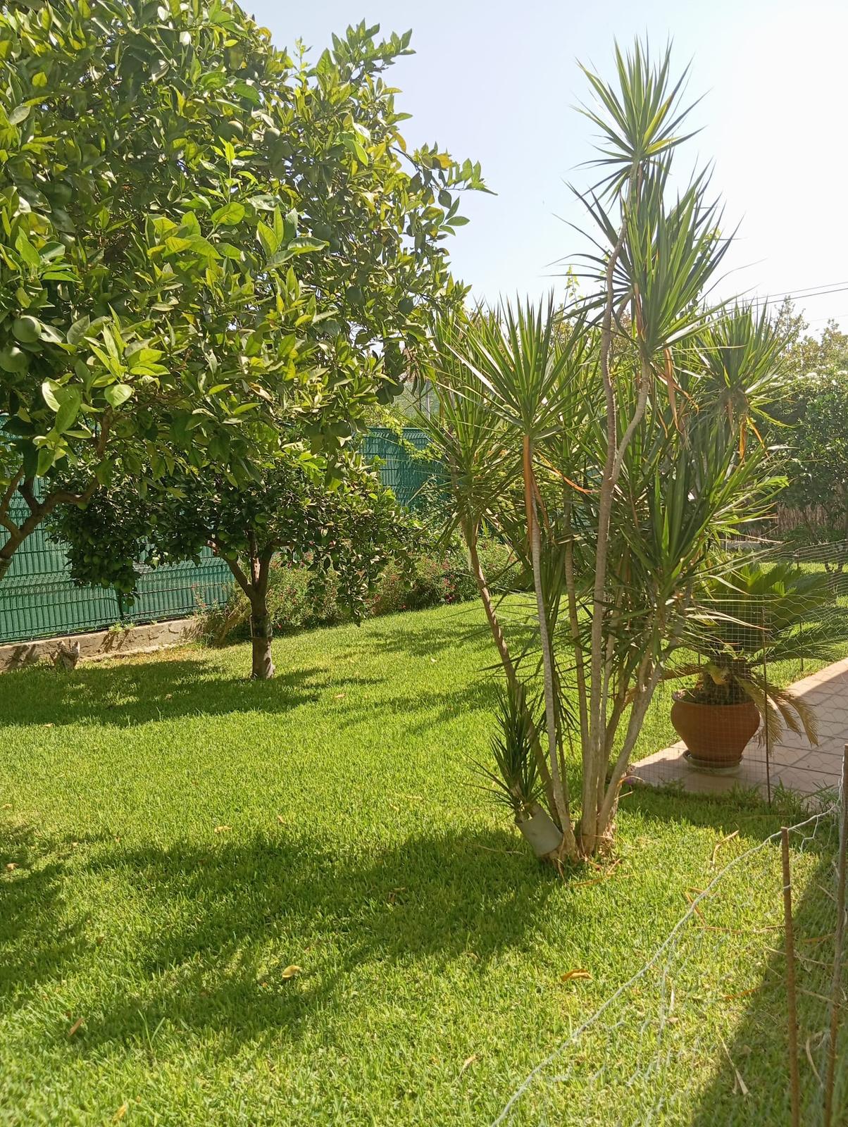 Santa Clara